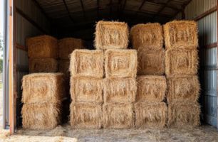 Supply to Bunker Services